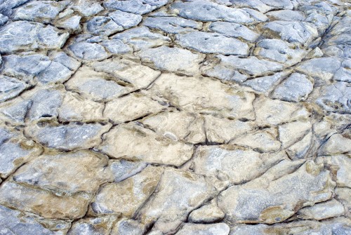Study of the crazed texture of a cracked rock pavement
