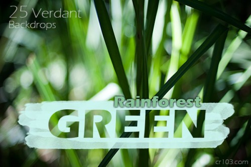 rainforestgreen.jpg